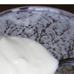 Домашний йогурт Дахи
