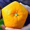 Пятиугольный апельсин