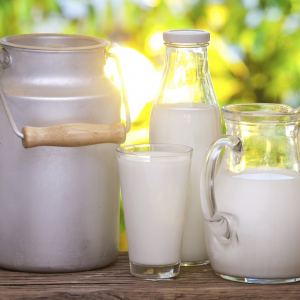 Категории рецептов - Молочные рецепты