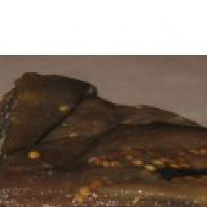 Баклажан - Баклажановый террин с куриным фаршем и овощами