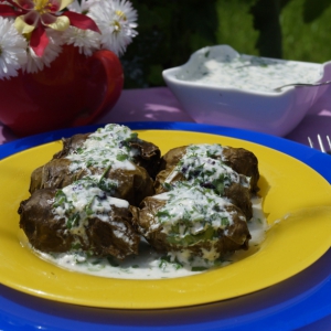 Рубленое мясо (фарш) - Долма под соусом из мацони