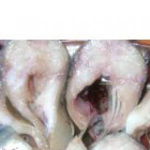 Скумбрия - Малосольная рыба