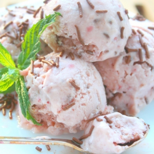 Черноплодная рябина - Мороженое и десерт из него