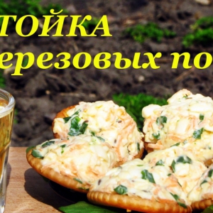 Почки - Настойка на березовых почках