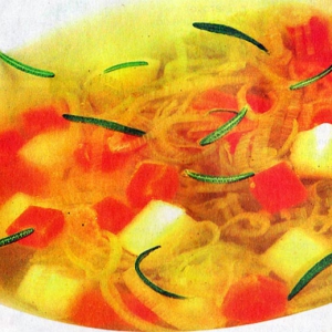 Прозрачные супы - Овощной суп с тостами