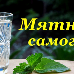 Рецепт Мятного самогона