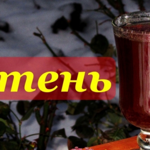 Зверобой - Рецепт сбитня, согревающий напиток