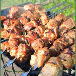 Апельсин - Шашлык из свиной шейки в цитрусовом маринаде