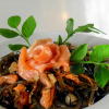 Полезные советы: Салат из морской капусты с красной рыбой