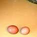 Маринованные яйца 