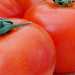 Овощное рагу Сельдерейные палочки с помидорами. Шаг 1.