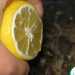 Сердечки в лимонно-медовой глазури. Шаг 2.